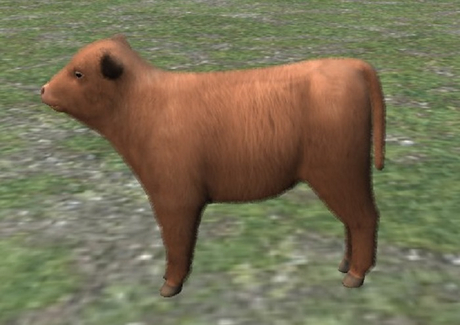 Second Life Marketplace - DFS Cow - Mini Highland